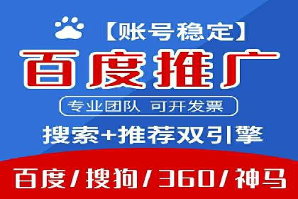 SEM投放策略：成功案例解析