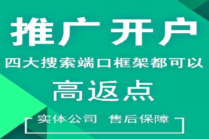 揭秘SEM竞价托管：实战案例深度解析